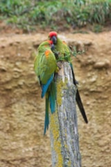 Foto #41 van La Vallée des Vignes