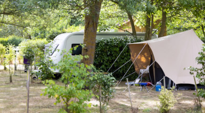 Grand Confort" pitch