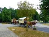Foto #39 van Erlebniscamping Lausitz