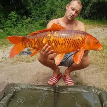 Emplacement - Site De Pêche - Camping LE CH'TIMI