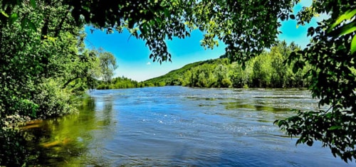 Foto #1 van Camping LES GRANGES