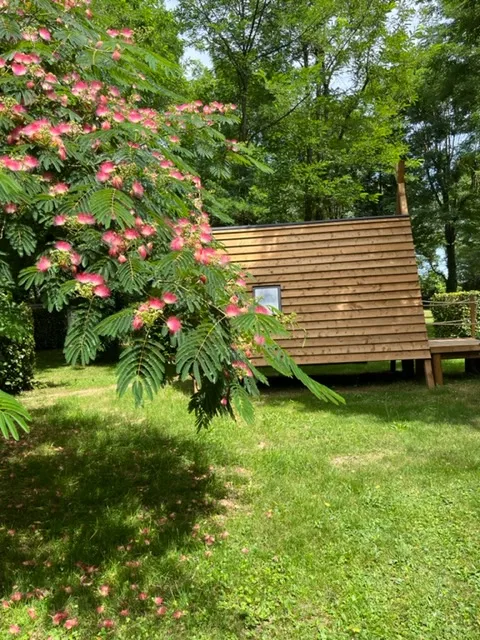 Hébergement Insolite - Tente Bois - 6 M²