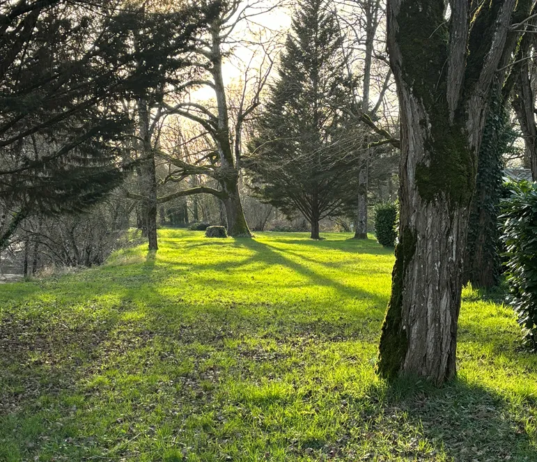 Emplacement Randonneur + 1 Vélo + Tente + Électricité