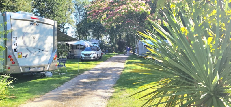 Pakket standplaats - Camper - Elektriciteit inbegrepen
