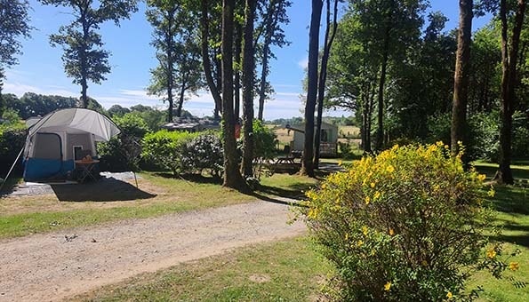 Pakket standplaats - Tent - Elektriciteit inbegrepen