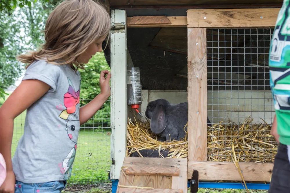 Camping Lentemaheerd - image n°9 - UniversalBooking