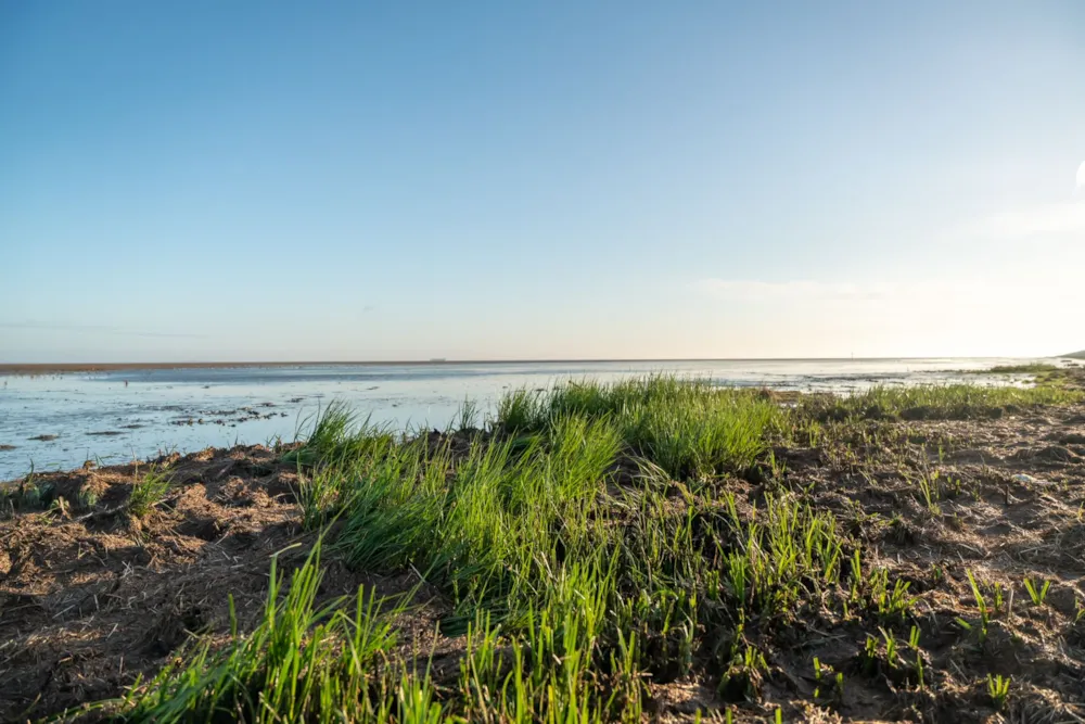 Camping Lentemaheerd - image n°20 - UniversalBooking