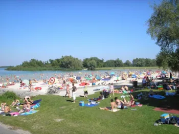 Flower Camping La Forêt - MyCamping