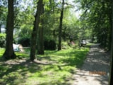 Foto #2 van Flower Camping La Forêt