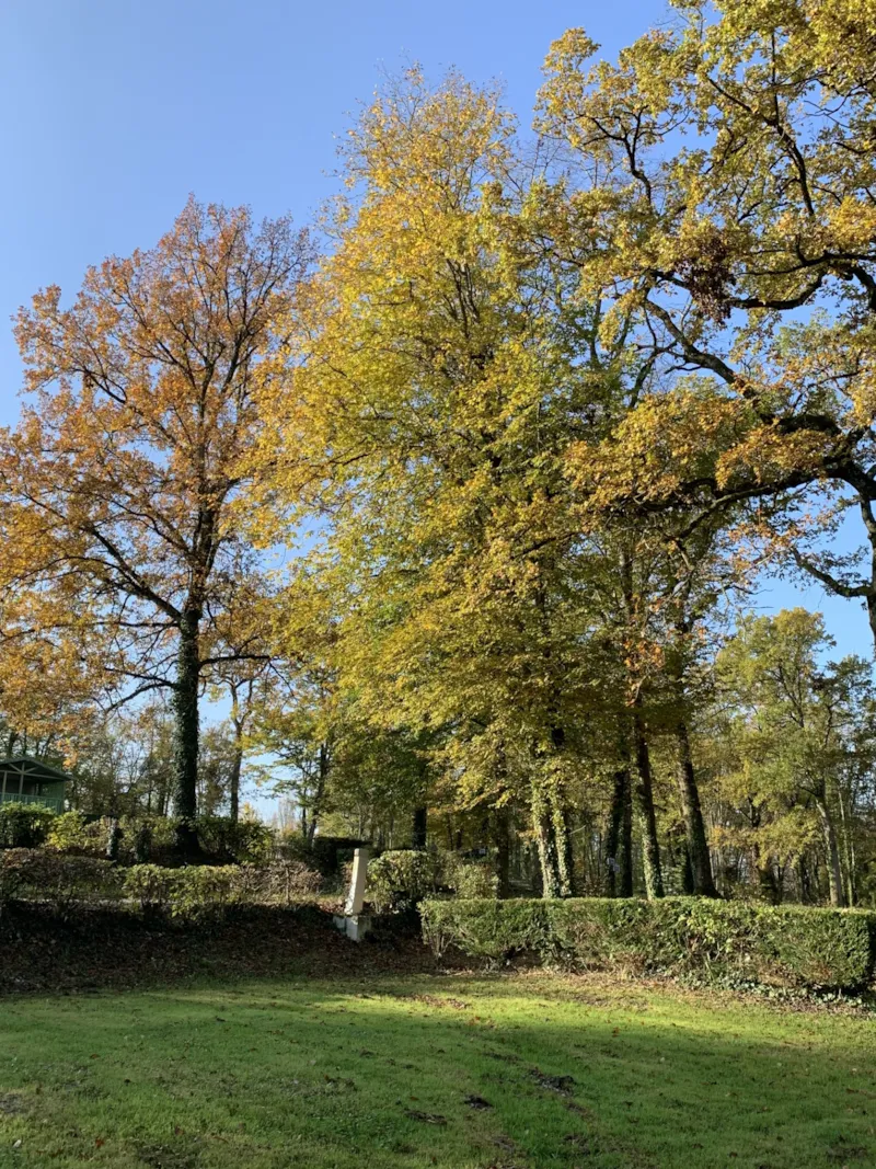 Emplacement Confort Camping-Car/Caravane + Eau + Électricité -