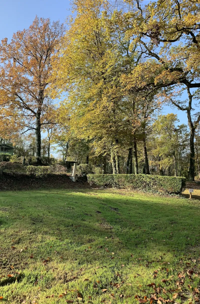 Emplacement Confort Camping-Car/Caravane + Eau + Électricité -