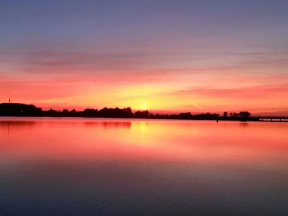 Flower Camping La Forêt