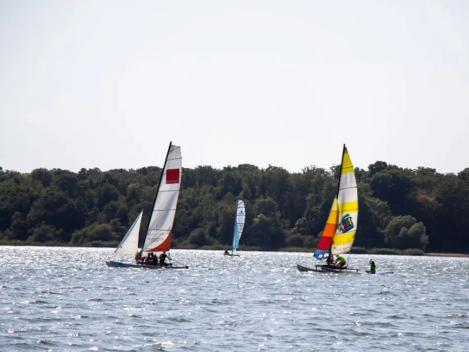 Flower Camping La Forêt