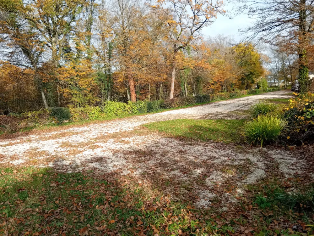 Emplacement - Emplacement Confort Van + Eau + Électricité - - Flower Camping La Forêt