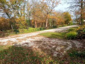 Emplacement - Emplacement Confort Van + Eau + Électricité - - Flower Camping La Forêt