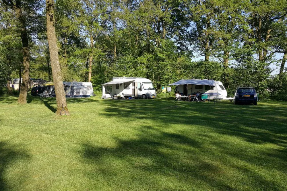 Park Drentheland - image n°6 - UniversalBooking