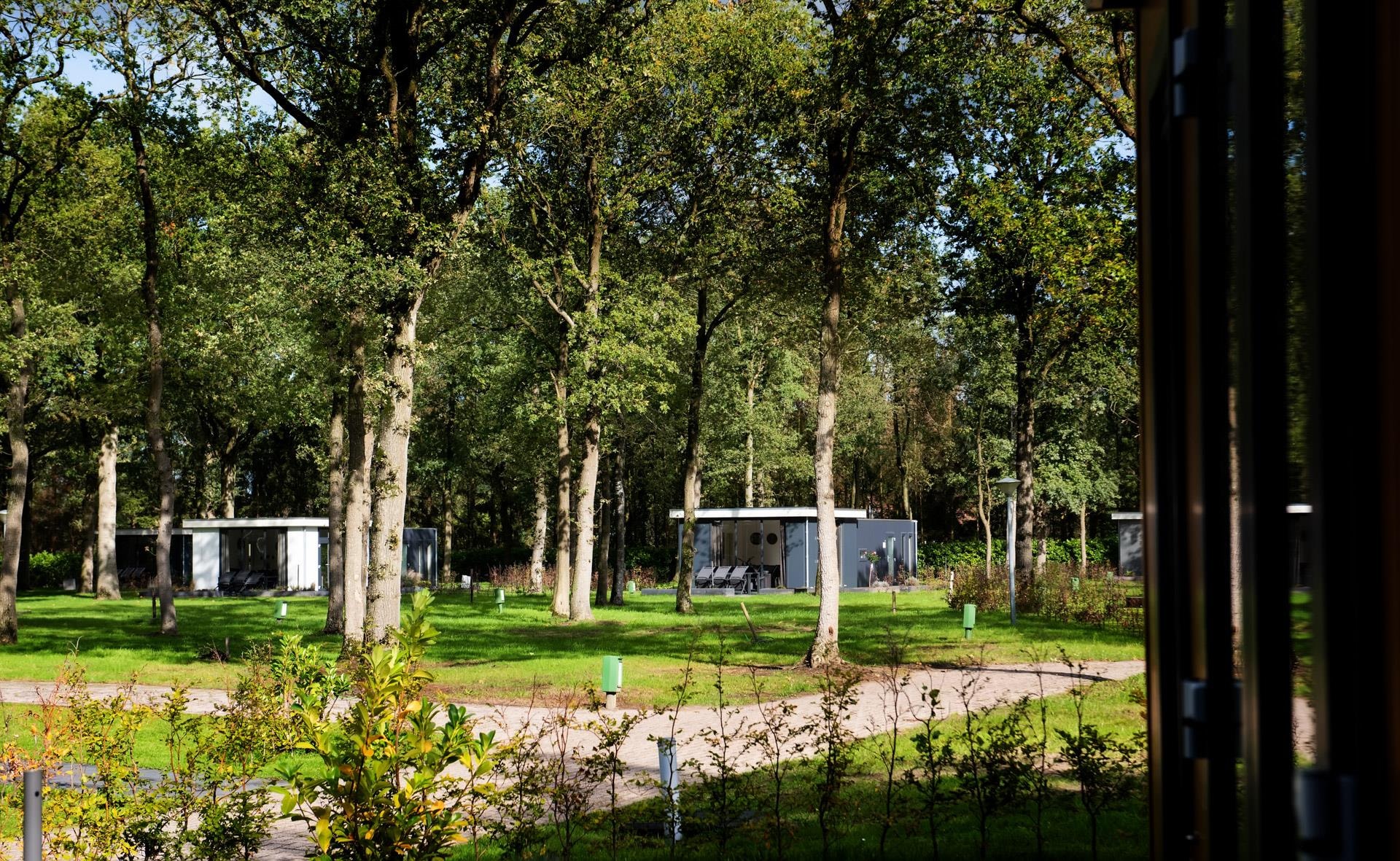 Park Drentheland — Foto 8