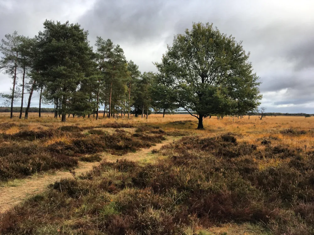 Park Drentheland - image n°25 - UniversalBooking