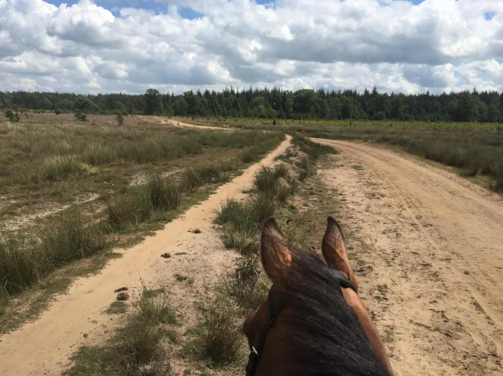 Park Drentheland - image n°24 - UniversalBooking