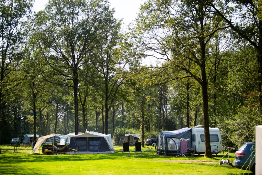 Park Drentheland - image n°1 - MyCamping