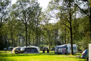 Park Drentheland - MyCamping