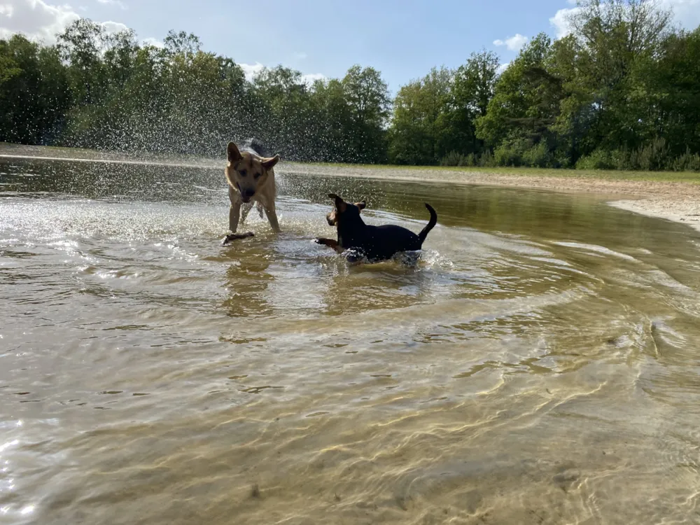 Park Drentheland - image n°27 - UniversalBooking