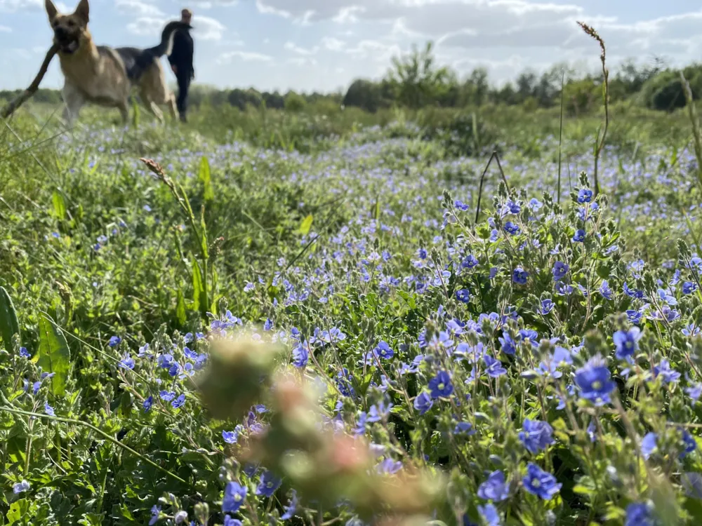 Park Drentheland - image n°28 - UniversalBooking