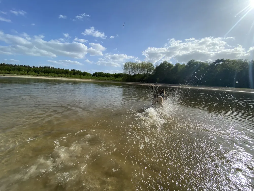 Park Drentheland - image n°29 - UniversalBooking