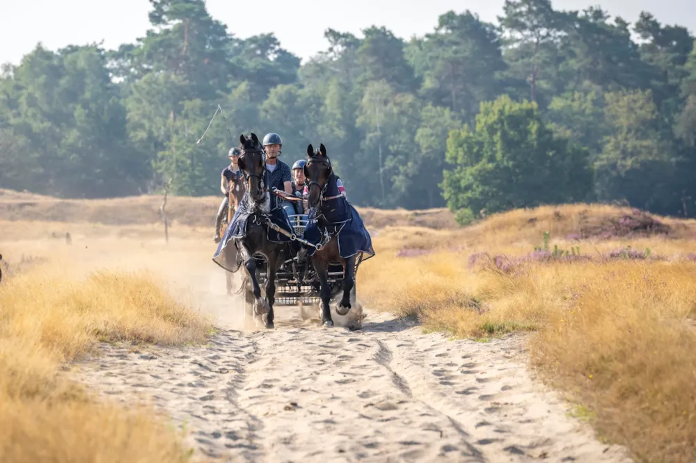 Park Drentheland - image n°30 - UniversalBooking