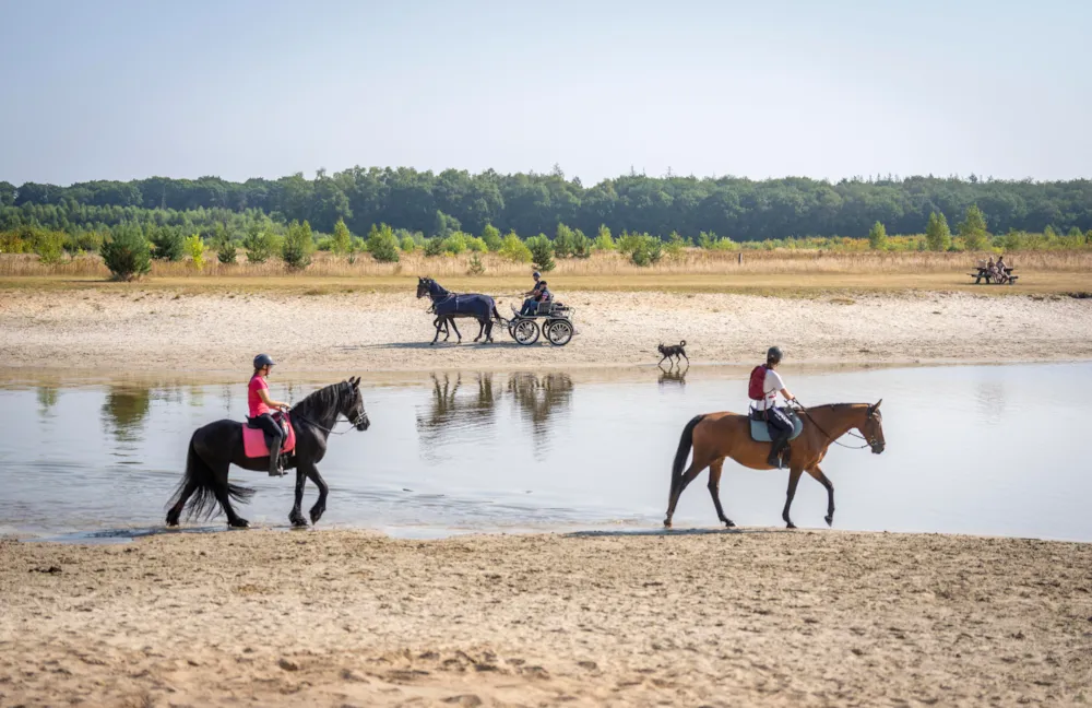 Park Drentheland - image n°31 - UniversalBooking