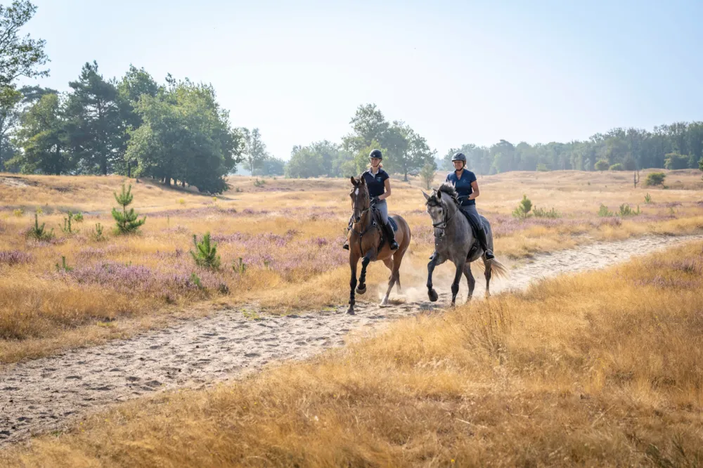 Park Drentheland - image n°32 - UniversalBooking