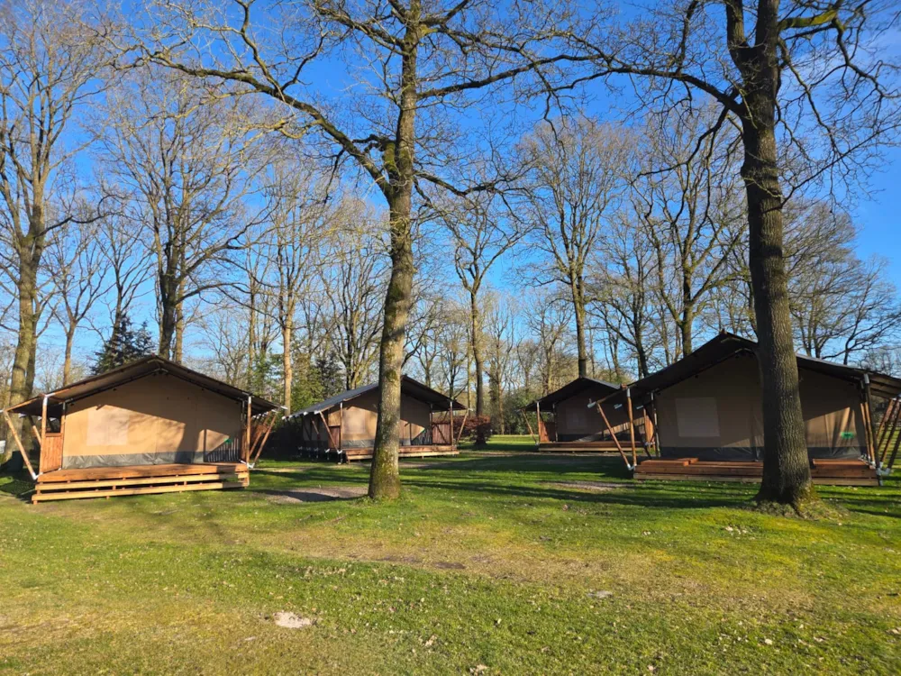 Park Drentheland - image n°2 - UniversalBooking