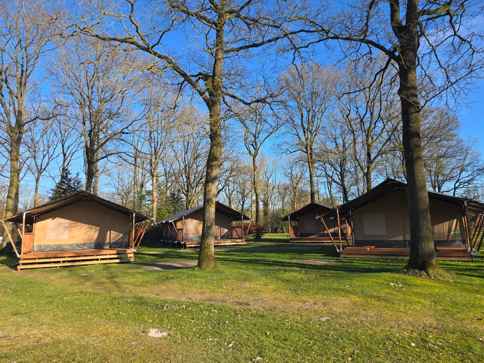 Park Drentheland — Foto 2