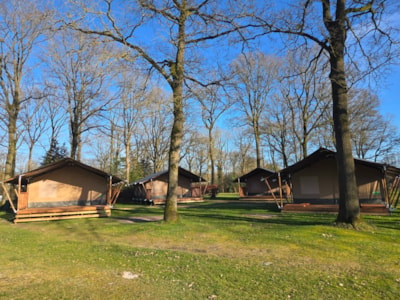 Park Drentheland