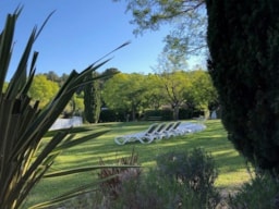 Établissement Camping Du Mas De Nicolas - Saint-Rémy-De-Provence