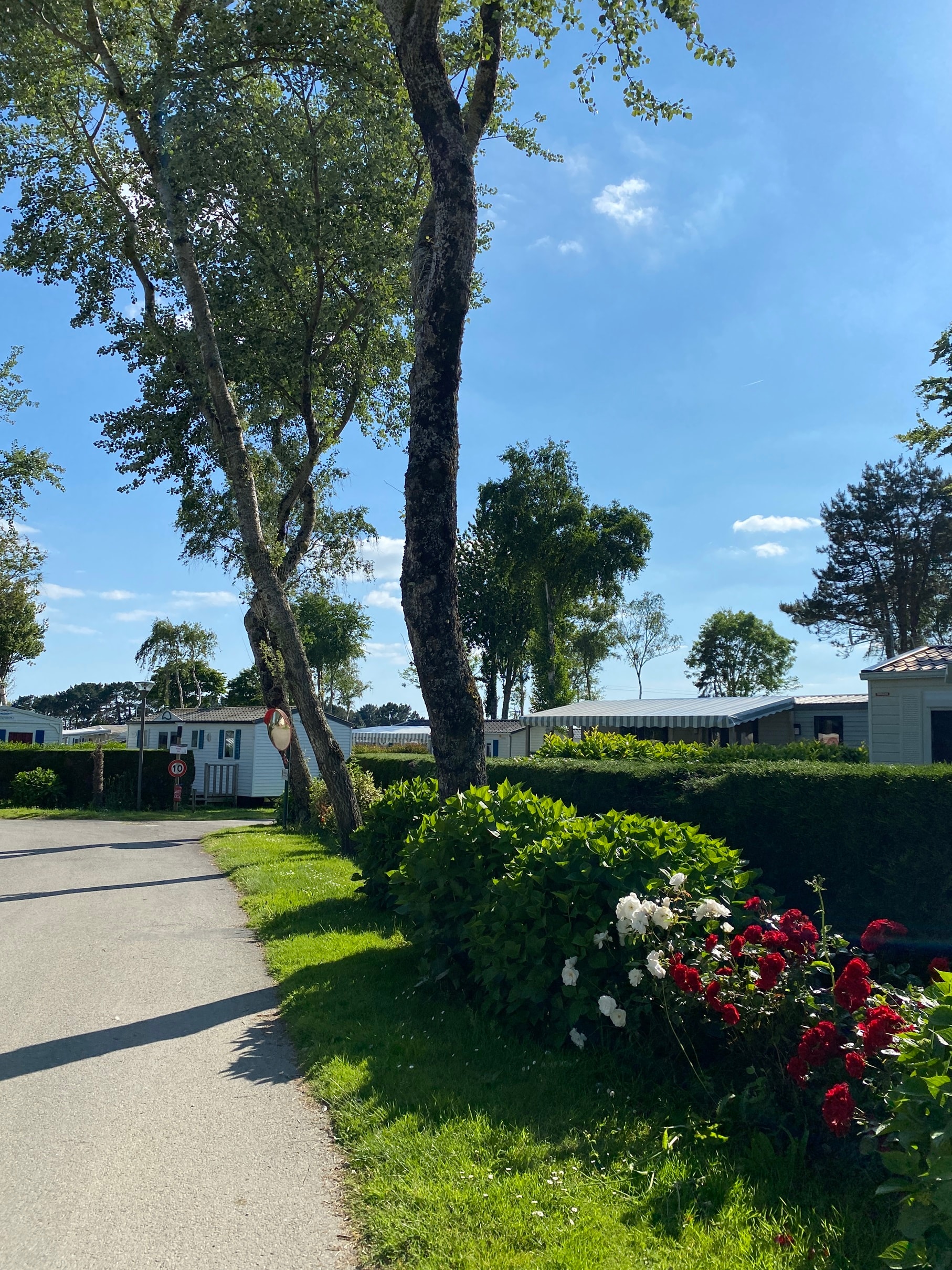 Camping Jardins de Kergal — Foto 8