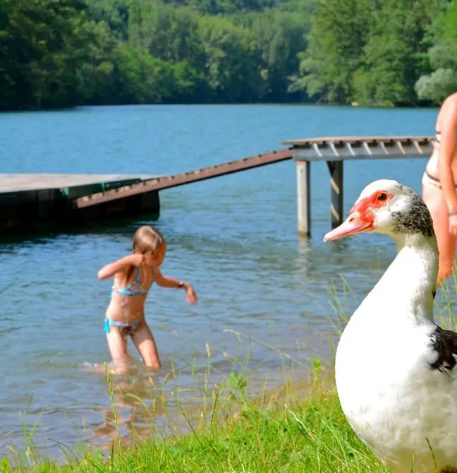 Camping de la Cascade