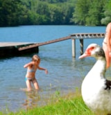 Foto #15 van Camping de la Cascade