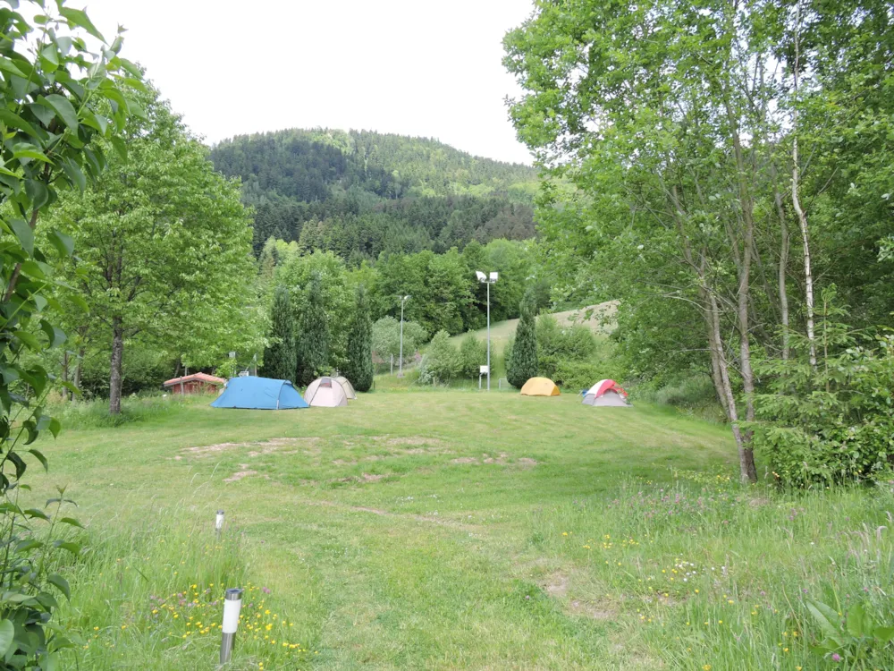 Pitch Tent 5m² - 10m²