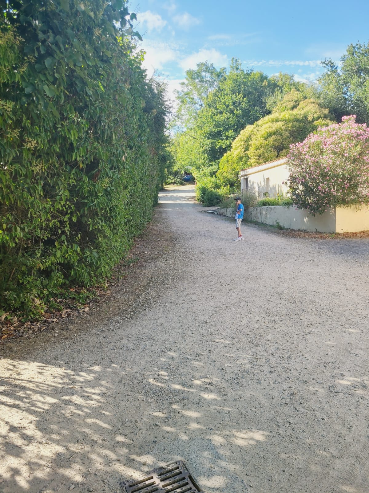 Camping Le Trèfle à 4 Feuilles — Photo 4
