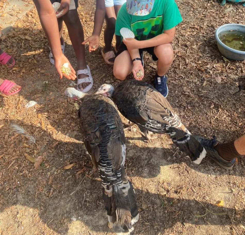 Camping Le Trèfle à 4 Feuilles