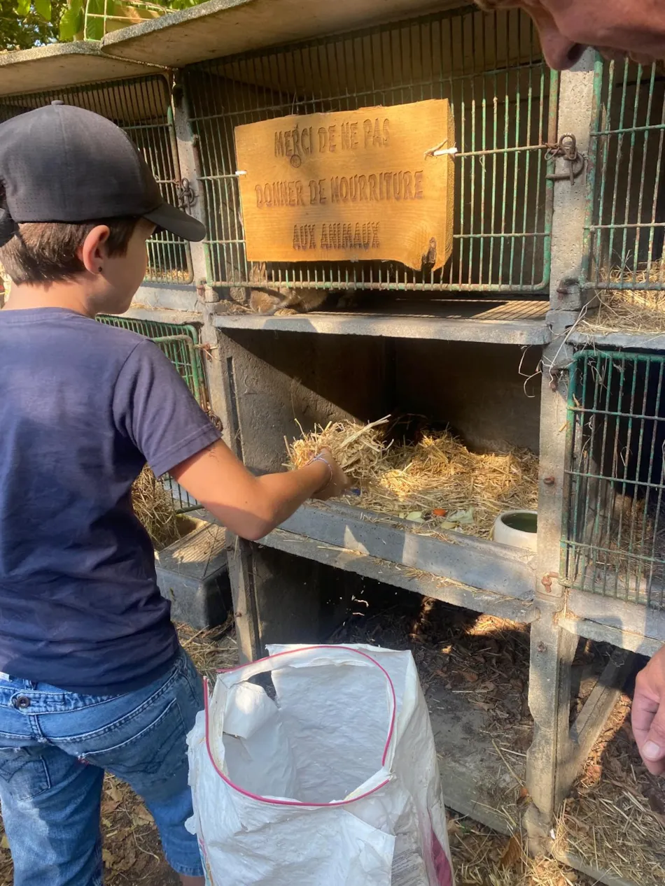 Camping Le Trèfle à 4 Feuilles