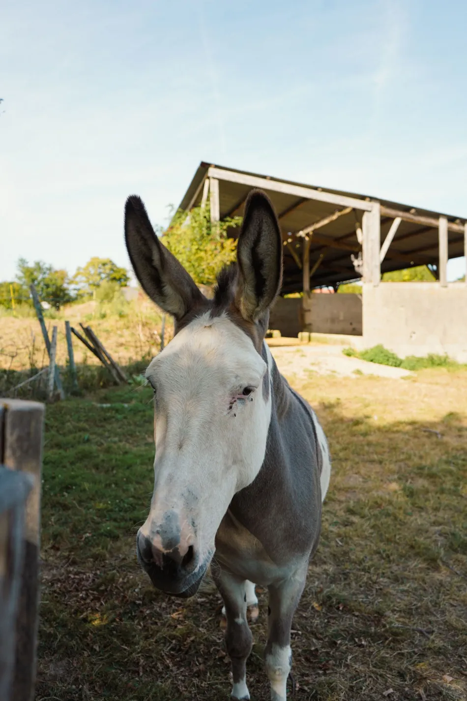 Camping Le Trèfle à 4 Feuilles