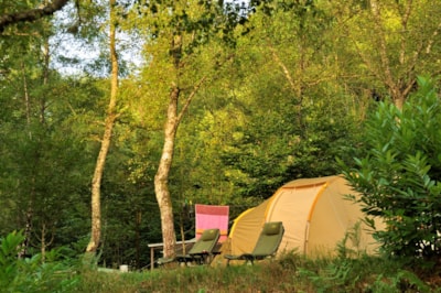 Nature Package (1 tent, caravan or motorhome without electricity / 1 car) — 1