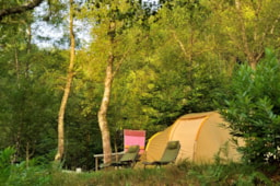 Kampeerplaats(en) - Basisprijs Natuurplaats (1 Tent, Caravan Of Camper Zonder Elektriciteit / 1 Auto) - Flower Camping La Plage