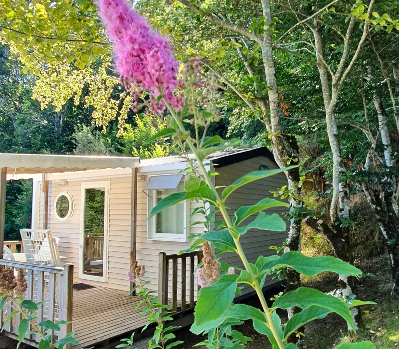 Mobil-Home Confort 18M² (1 Chambre) + Tv + Terrasse Semi Couverte