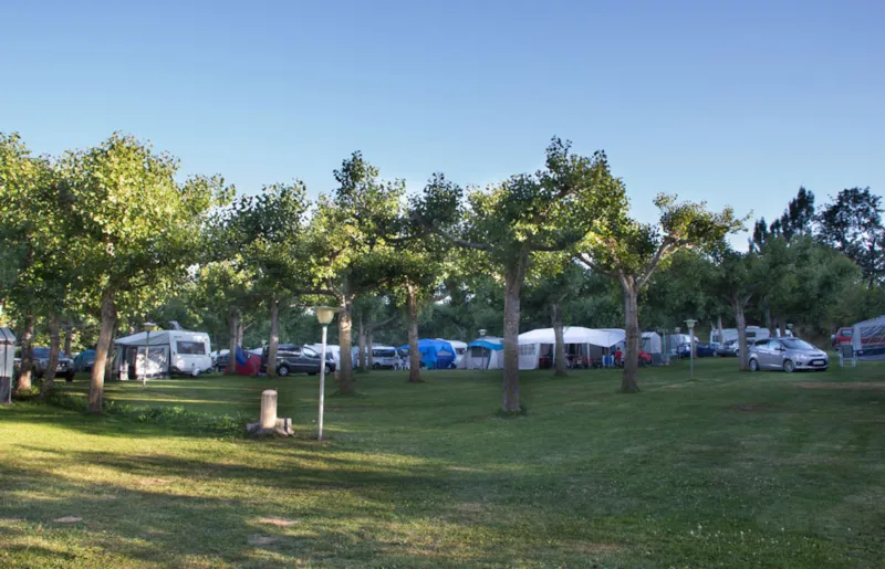 Emplacement: Voiture + Tente/Caravane Ou Camping-Car