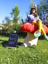 Foto #36 van Camping Laspaúles