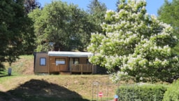 Huuraccommodatie(s) - Stacaravan Premium 35M² - 3 Slaapkamers -  Kasteel Uitzicht - Overdekt Terras - Flower Camping du Lac de Saint Point  Lamartine - Saône et Loire - Bourgogne du Sud 