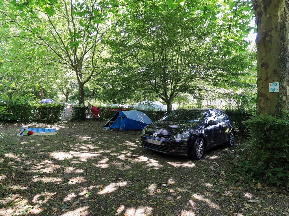 Flower Camping du Lac de Saint Point  Lamartine - Saône et Loire - Bourgogne du Sud  — Photo 8